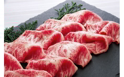 AF199【数量限定・A4ランク以上】 長崎和牛 特選モモ 500g