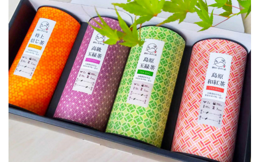 AG072「雲仙しまばら茶」ティーバッグ4種セット (高級玉緑茶 & 玉緑茶 & 特選焙じ茶 & 和紅茶 各2g×15個入り)