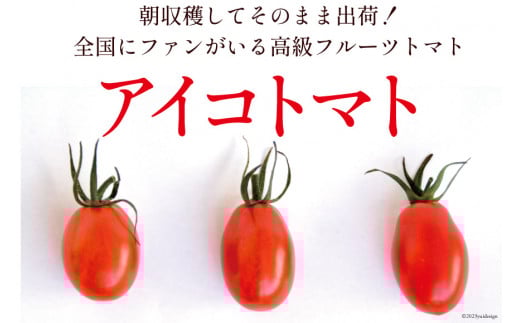 AG137【6回定期便】全国にファンがいる高級フルーツトマト アイコ たっぷり！1kg