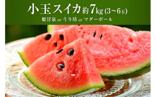 AH006 夏の定番 小玉すいか 約7kg（3～6玉） [ 果物 フルーツ すいか スイカ 古川青果店 長崎県 島原市 ]