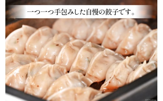 【AH019】 焼くだけ！一か月に1500個売り上げる餃子 45個（15個×3パック）