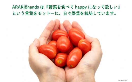 AH067【小分けでうれしい♪】アイコトマト2.4kg（200g×12袋）