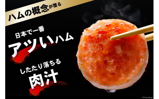 BI002 雲仙ハム ソーセージ 小 300g×2本[ 絶品 人気 ハム ウインナー ソーセージ おつまみ 肉 お弁当 おかず 小分け 便利 国産 豚肉 お歳暮 お中元 長崎県 島原市 送料無料 ]