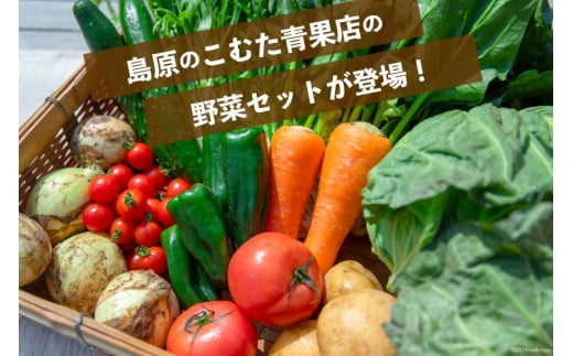 AI022【10～5月限定出荷】こむたの旬の野菜つめあわせ(8～10品目)おまかせ M セット 【 野菜 やさい 旬 種類 人気 オススメ 新鮮 詰め合わせ こむた 小無田 青果 長崎県 島原市 】