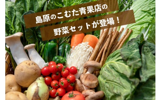 AI023【10～5月限定出荷】こむたの旬の野菜つめあわせ(13～15品目)おまかせ L セット 【 野菜 やさい 旬 種類 人気 オススメ 新鮮 詰め合わせ こむた 小無田 青果 長崎県 島原市 】