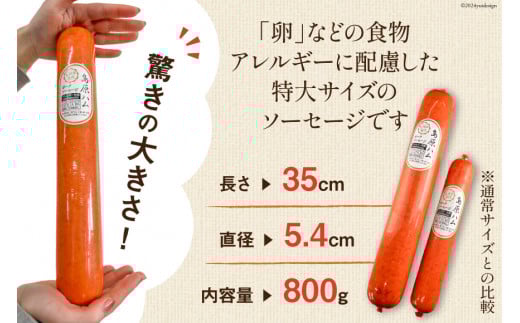 AI064 特大！ 島原ハム ポークソーセージ 800g×2本 セット [ ハム ソーセージ ウインナー 肉 お弁当 豚肉 おつまみ 国産 焼き肉 BBQ 惣菜 バーベキュー 長崎県 島原市 ]