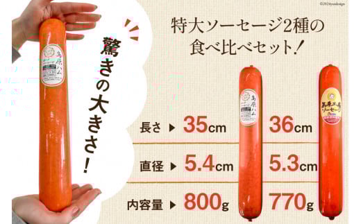 AI067 特大！ ソーセージ 2種5本 食べ比べ セット（島原ハムポークソーセージ800g×3本 島原工房ソーセージ770g×2本）[ ハム ソーセージ 肉 豚肉 おつまみ 国産 長崎県 島原市 ]