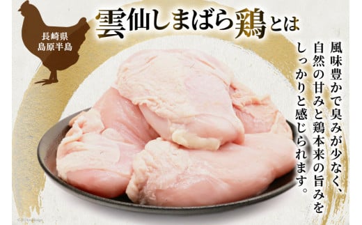 AI084 鶏肉 雲仙しまばら鶏 むね肉 300g 10袋 計3kg [ 小分け 鶏むね肉 若鶏 とりむね肉 とりむね 肉 チキン 真空パック 大光食品 長崎県 島原市 ]