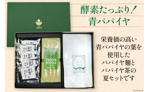AI133 パパイヤ麺 めんつゆ付 パパイヤ茶 詰め合わせ [ ティーパック ティーバッグ 茶 お茶 麺 冷麺 そうめん にゅうめん 手延べ素麺 乾麺 コウセイプランニング 長崎県 島原市 ]