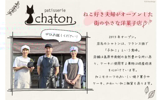 【2026年2月より順次発送】 AI191 フィナンシェ 4個 マドレーヌ 2個 [ 個包装 詰め合わせ セット 猫 かわいい 焼き菓子 プチケーキ バレンタイン スイーツ 菓子 パティスリーシャトン 長崎県 島原市 ]