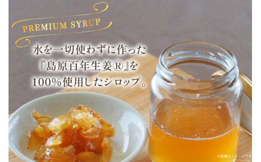 AI201 ジンジャー シロップ 250g 2本 計500g [ 生姜 しょうが ショウガ ジンジャーエール ジンジャーハイボール 松本農園 人作 長崎県 島原市 ]