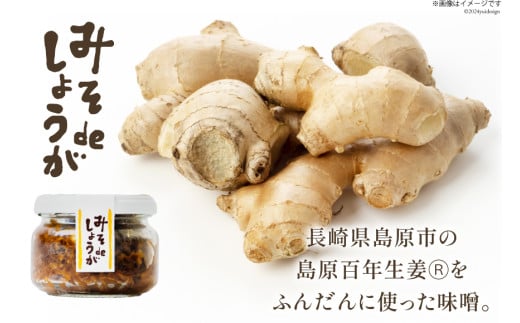 AI204 みそdeしょうが 100g 1個 [ 生姜 しょうが ショウガ 味噌 みそ お供 薬味 保存料 添加物 不使用 国産 松本農園 人作 長崎県 島原市 ]