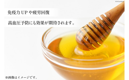 AI286 3回 定期便 国産 はちみつ 百花蜜 500g [ 蜂蜜 ハチミツ ハニー おすすめ おいしい 無添加 村木養蜂場 長崎県 島原市 ]