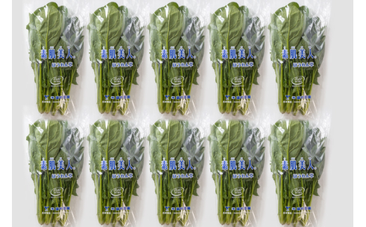 AI323 定期便 3回 ほうれん草 10束 [ 野菜 ホウレン草 やさい ホウレンソウ 冷蔵 葉物野菜 田中農園 長崎県 島原市 ]
