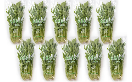 AI335 定期便 3回 水菜 10束 [ 野菜 みずな サラダ やさい 冷蔵 葉物野菜 田中農園 長崎県 島原市 ]