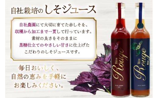 AJ307 感動の赤しそジュース 瓶 500ml 感動の青しそジュース 瓶 500ml [ しそジュース 紫蘇ジュース 赤しそ 青しそ 長崎県 島原市 ]