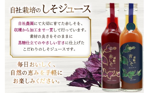 AJ310 感動の赤しそジュース 瓶 200ml 感動の青しそジュース 瓶 200ml 生姜シロップ 瓶 250ml 飲み比べセット [ しそジュース 紫蘇ジュース 赤しそ 青しそ 長崎県 島原市 ]