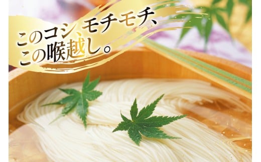 AJ442 島原手延べそうめん 8kg 160束 1箱 [ そうめん 素麺 島原そうめん 手延そうめん 島原 セテラ 長崎県 島原市 ]