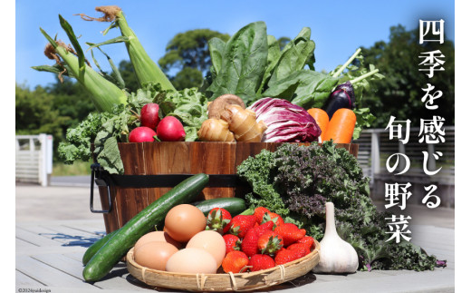 BA025 野菜・フルーツ・卵 旬のおまかせセット （野菜･フルーツ13～16品目、卵6玉）[ 野菜セット 野菜 フルーツ 果物 たまご 鶏卵 産地直送 厳選 長崎県 島原市 送料無料]