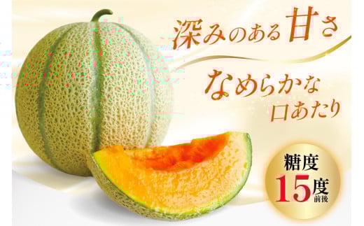 BD201【令和8年度出荷分】マルセイユメロン～島原風香～（3L×2玉） [農事組合法人　『舞岳の里』生産組合 長崎県 島原市 BD201] メロン 赤肉 果物 くだもの フルーツ 産地直送