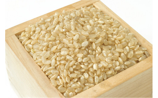 BE112 低温熟成米（ヒノヒカリ・玄米）　10kg(米袋×2袋)