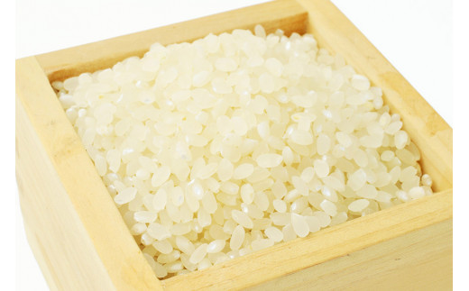 BE113 低温熟成米（ヒノヒカリ・精米）　10kg(米袋×2袋)