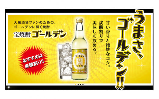 BE175宝焼酎「ゴールデン」25度 360ml✕12本入