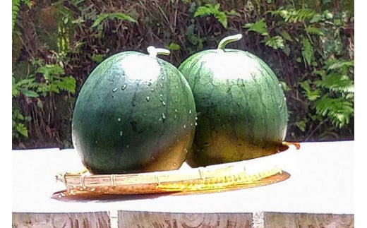 【令和8年度出荷分】BE275 黒小玉スイカ「ひとりじめBonBon」 5kg(1.7kg以上×2~3玉) ～名水百選の里 島原産～ [ Bunkou Farms 島原 合同会社 島原市 BE275 ]