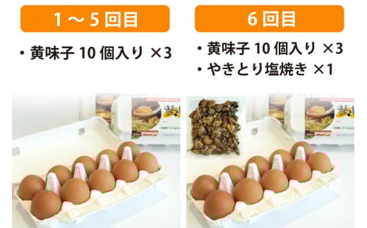 BE290【定期便】島原のたまご 黄味子Ａセット 計6回お届け