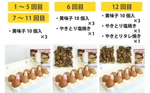 BE291【定期便】島原のたまご 黄味子Ａセット 計12回お届け