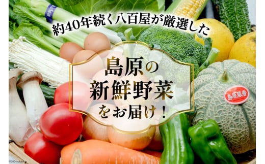 BF058 【6回定期便】旬の野菜・フルーツ (12〜14品目)・卵 (6個) おまかせ セット【 野菜 果物 卵 やさい くだもの 果物 タマゴ たまご 詰め合わせ 江戸屋 長崎県 島原市 】