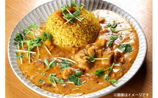 CG027 スパイスカレー 食べ比べセット 3種類 150g×各2 計6パック