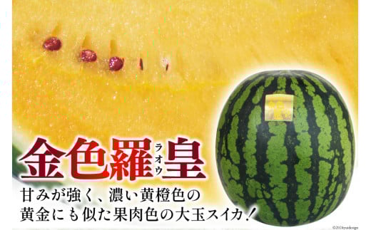 BG075【令和8年度出荷分】幻のゴールデンスイカ！～金色羅皇（ラオウ）～（7～12kg） [先行予約 数量限定 すいか スイカ 西瓜 らおう 羅王 フルーツ 果物 長崎 長崎県 島原市]