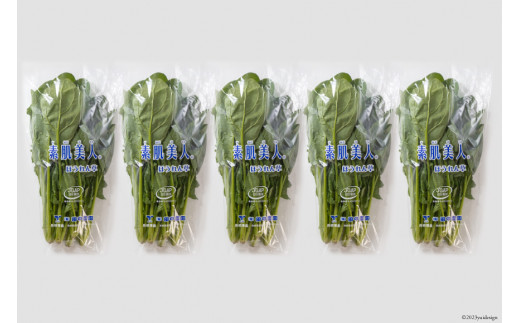 【BH009】ほうれん草 150g×5束