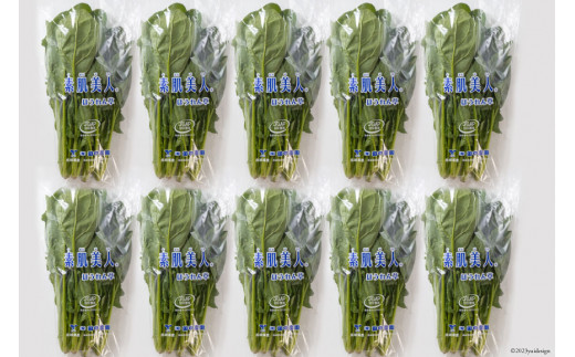 【BH010】ほうれん草 150g×10束