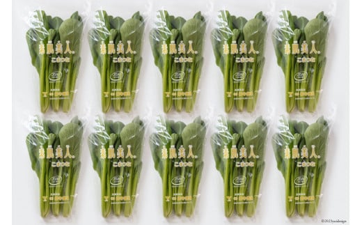 【BH013】小松菜 150g×10束