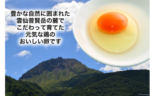 BI050 6回 定期便 どっさり！ 雲仙たまごMサイズ 180個(170個＋割れ補償10個入り) [ 卵 たまご 生卵 鶏卵 赤卵 玉子 新鮮 塚ちゃん雲仙たまご村 長崎県 島原市 ]