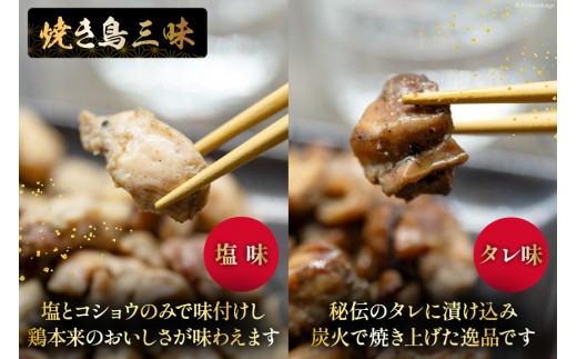 BI054 炭火焼 焼き鳥三昧 塩味4袋 タレ味2袋 計6袋 セット [ 炭火焼き 炭火焼き鳥 炭火焼鶏 鶏 焼鳥 詰め合わせ 塚ちゃん雲仙たまご村 長崎県 島原市 ]