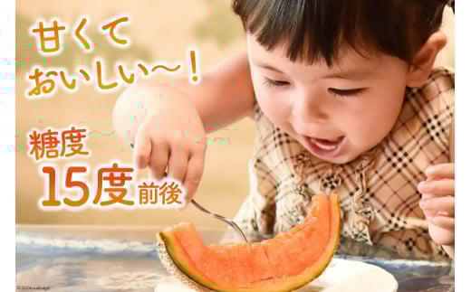 BI113 【令和8年度出荷分】 島原赤肉メロン「マルセイユ」（3L×3玉） [ メロン めろん マルセイユ 赤肉 フルーツ 果物 小原商店 長崎県 島原市 ]