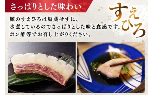 BJ144 すえひろ ブロック 100g×5個セット 計500g [ くじら クジラ 鯨肉 湯引き 簡単調理 おつまみ 肴 珍味 小分け 日野商店 長崎県 島原市 ]