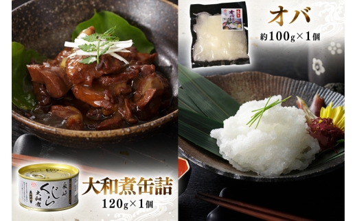 BJ154 美味しい 鯨 5種詰め合わせAセット 計520g( 大和煮 オバ ベーコンブロック 湯かけくじら さえずりブロック )[ くじら クジラ 鯨肉 湯引き 簡単調理 おつまみ 肴 珍味 日野商店 長崎県 島原市 ]