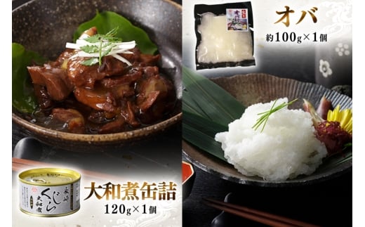 BJ155 美味しい 鯨 5種詰め合わせBセット 計520g( 大和煮 オバ ベーコンスライス 湯かけくじら さえずりスライス )[ くじら クジラ 鯨肉 湯引き 簡単調理 おつまみ 肴 珍味 日野商店 長崎県 島原市 ]