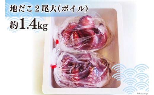 CB044 長崎産 地だこ2尾(約1.4kg)