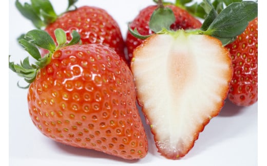 【期間限定発送】CG069 長崎県知事賞受賞【 大玉 いちご 】「 恋みのり (3L～5L)」265g×4パック ＜1～5月にお届け＞