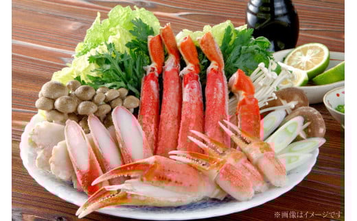 CH007 天然ズワイガニ 600g [ カニ かに 蟹 ズワイガニ 本ズワイカニ 本ずわいがに ボイル カット済み 半むき身 ハーフポーション ]