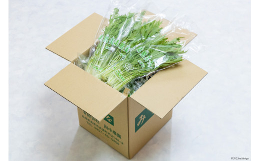 CH017 水菜 150g×30束