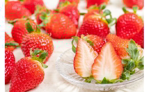 【期間限定発送】DE178 長崎県知事賞受賞【 厳選 いちご 】「 ゆめのか （2L～3L）」 260g × 4パック ＜1～4月にお届け＞