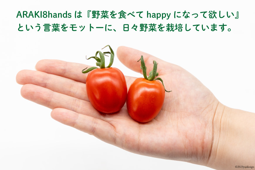 AH115 宝石のように輝くトマト プレミアムルビー6kg 【 島原市 トマト 農家直送 】