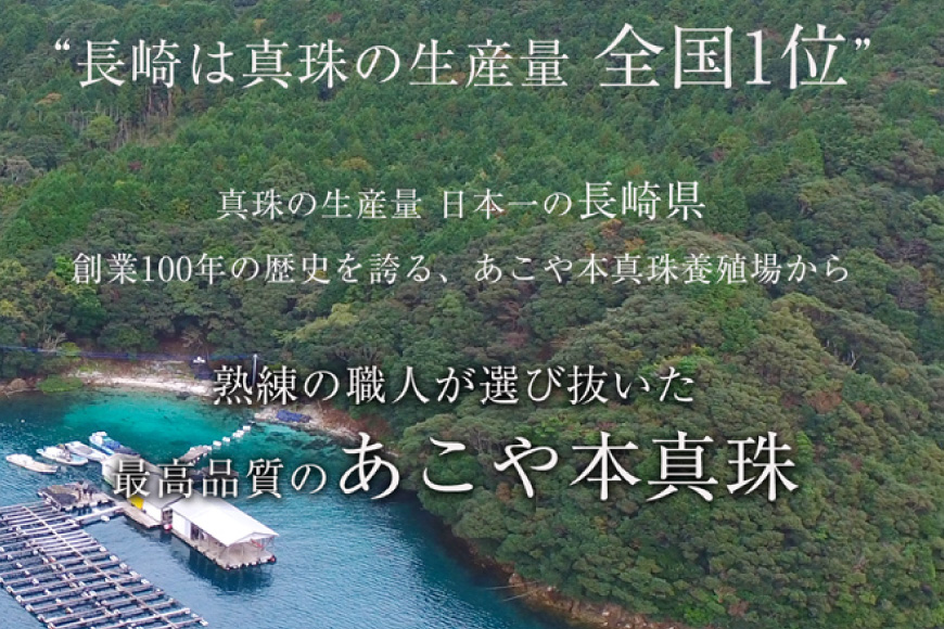 AI365-b Marycoco 長崎県産 極上 あこや本真珠 8.5～9.0mm ジュエリー 2点 セット [N975-1506 真珠 ネックレス ピアス あこや真珠 国産 あこや ファッション レディース メアリーココ 長崎県 島原市 ]