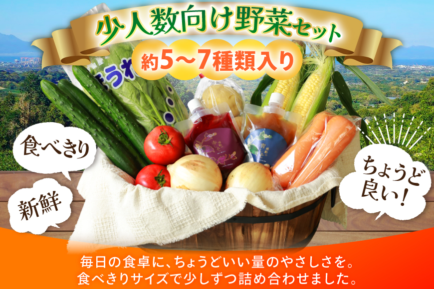 AJ313 野菜セット 5～7品目 しそジュース付き [ 野菜 詰め合わせ 少人数用 一人暮らし 二人暮らし シソジュース 紫蘇ジュース 長崎県 島原市 ]